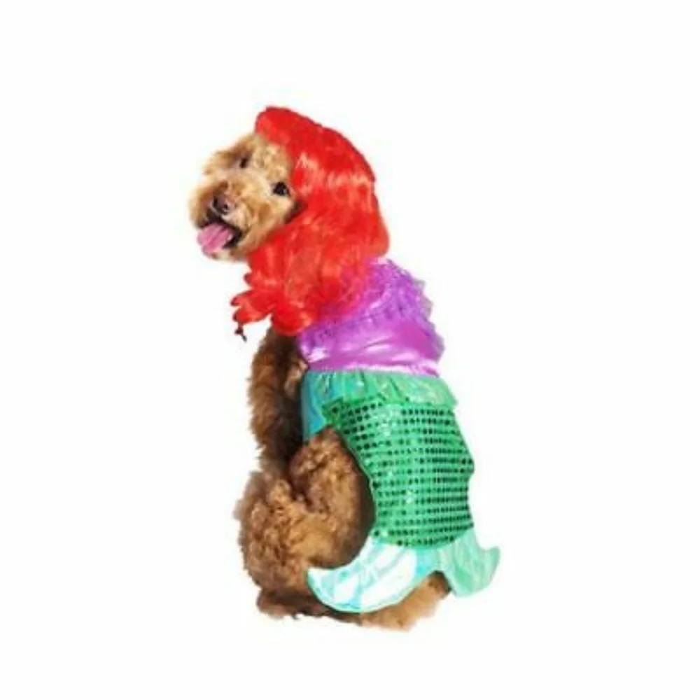 Dog halloween‎ costume size medium
